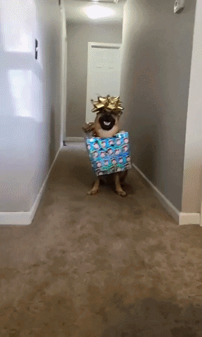 present-pup.gif